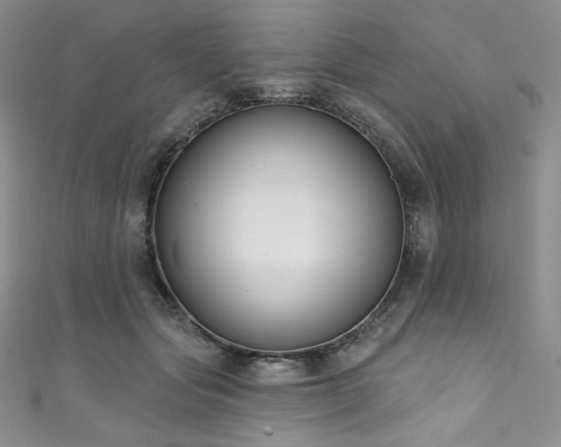 X0000111890557200907231558