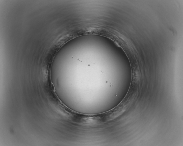 X0000111890558200907231558