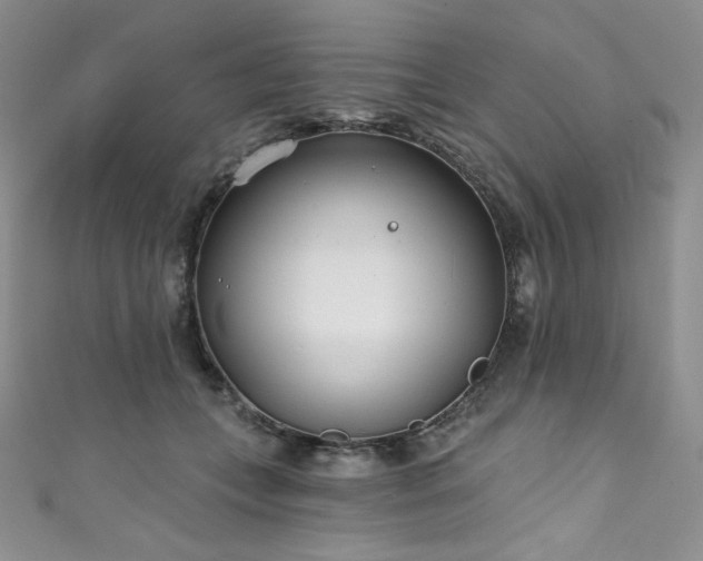 X0000111890559200907231558