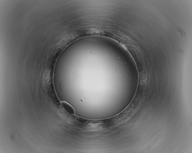 X0000111890560200907231558