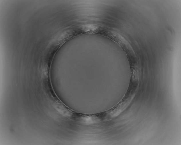 X0000111890561200907231558