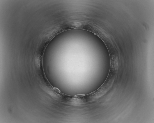 X0000111890562200907231558