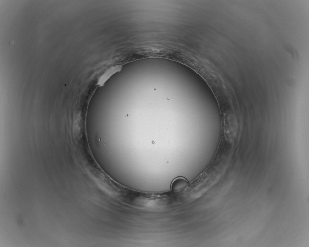 X0000111890563200907231558