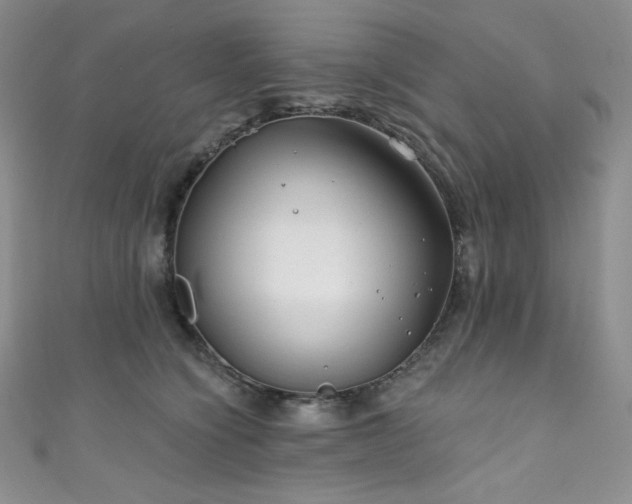 X0000111890564200907231558
