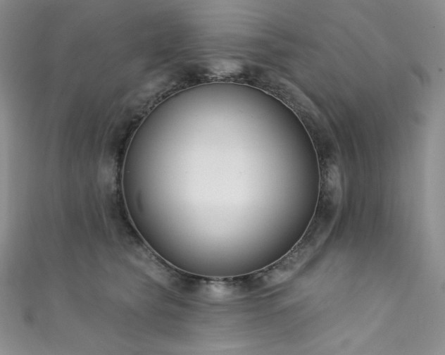 X0000111890565200907231558