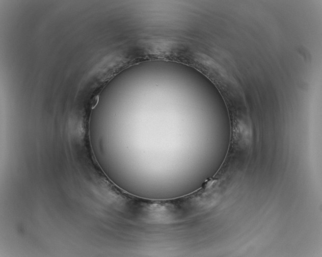 X0000111890566200907231558