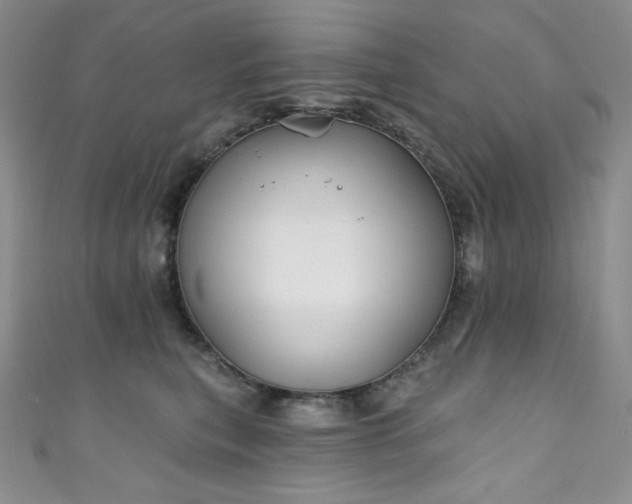 X0000111890567200907231558