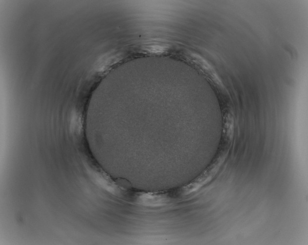 X0000111890568200907231558