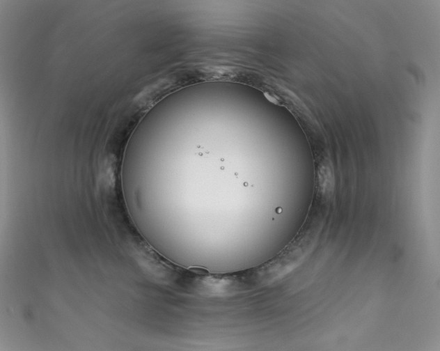 X0000111890570200907231558