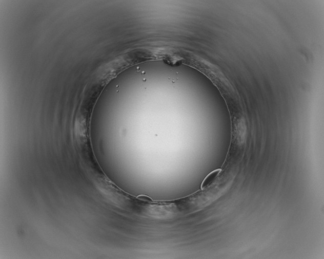 X0000111890571200907231558