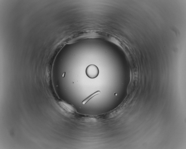X0000111890572200907231559