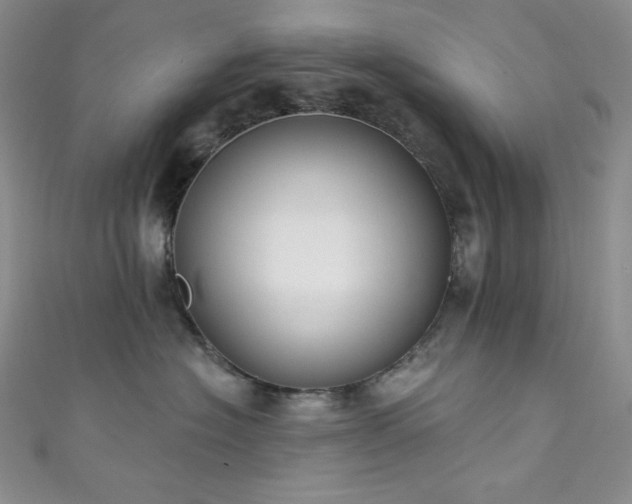X0000111890574200907231559