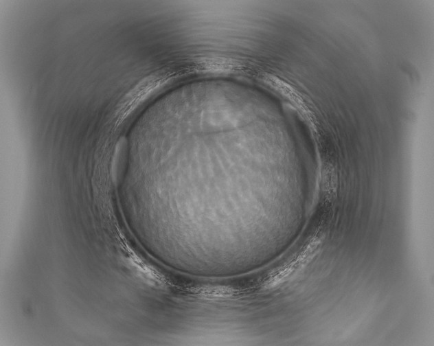 X0000111890577200907231558
