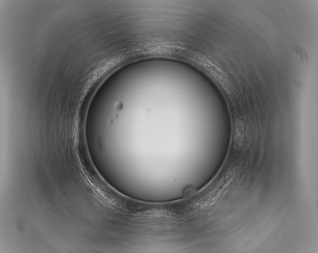X0000111890578200907231558