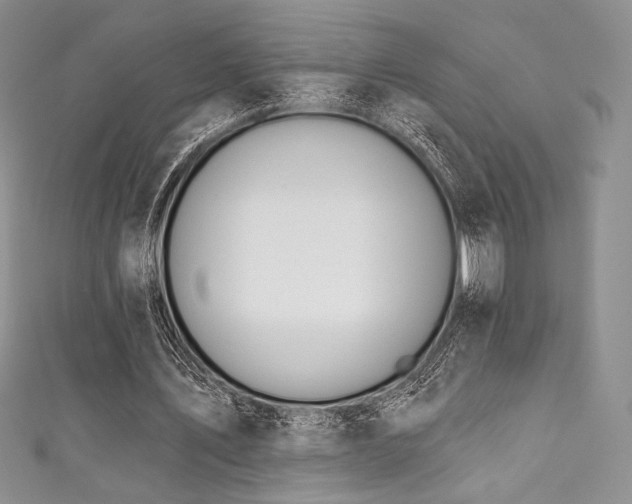 X0000111890579200907231558