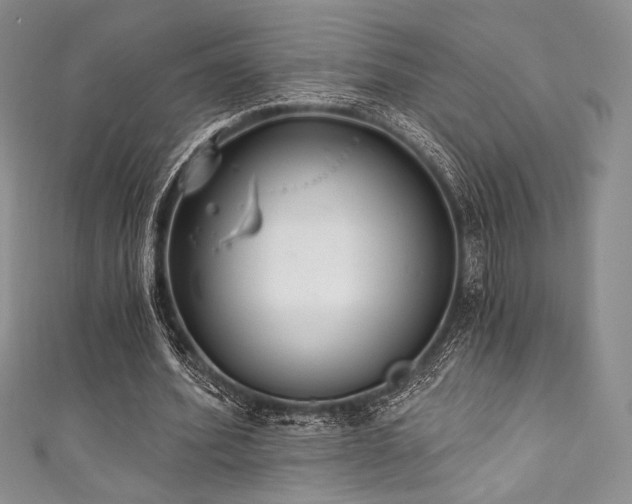 X0000111890580200907231558