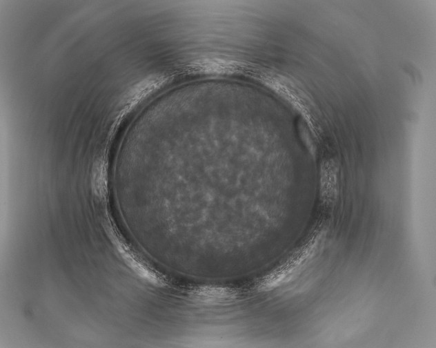 X0000111890581200907231558