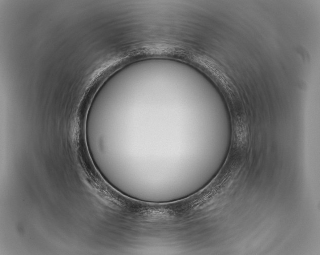 X0000111890583200907231558
