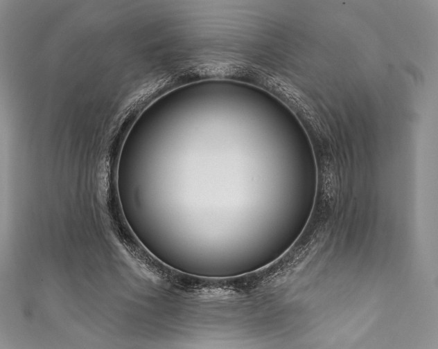 X0000111890586200907231558