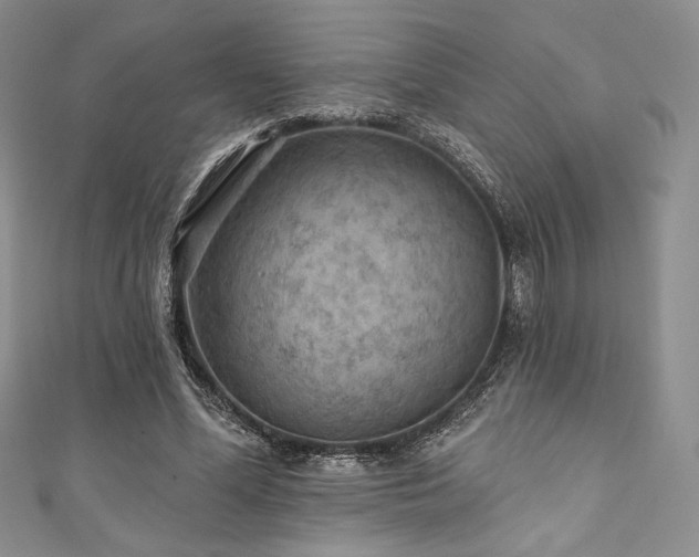 X0000111890588200907231558