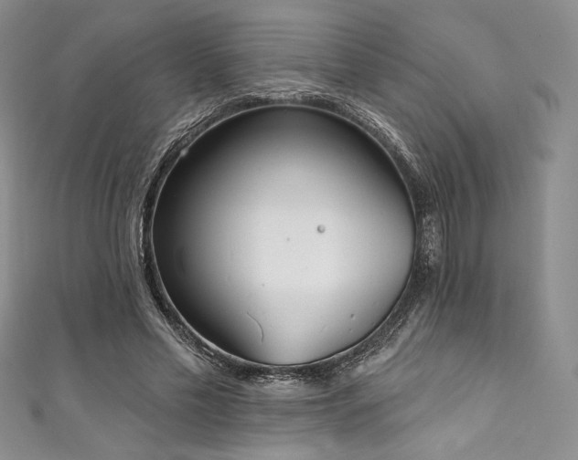 X0000111890589200907231558