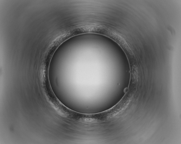 X0000111890590200907231558