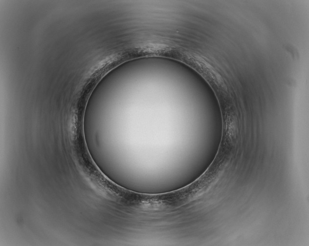 X0000111890591200907231558