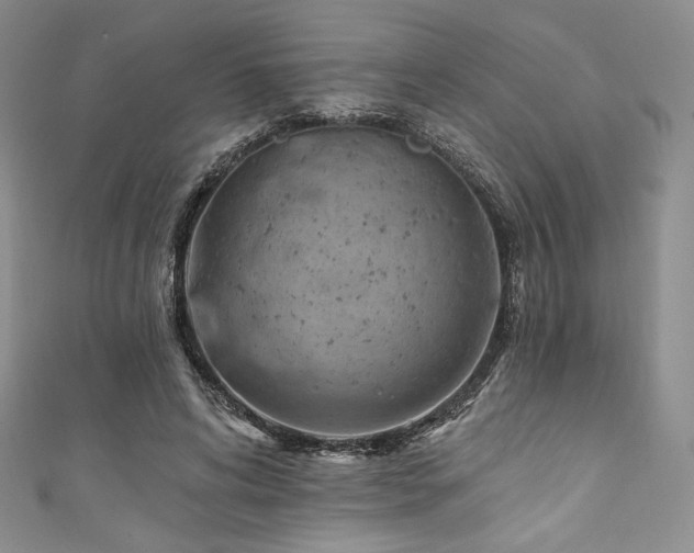 X0000111890592200907231558