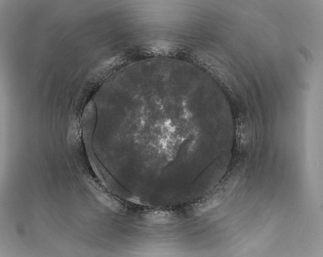 X0000111890593200907231558