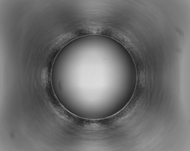 X0000111890594200907231558