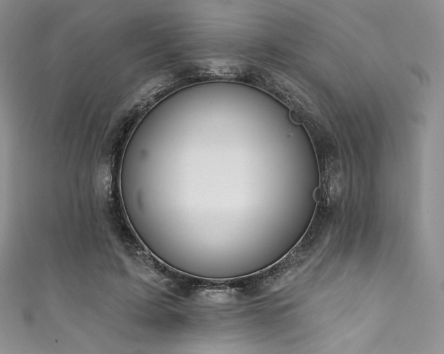 X0000111890595200907231558