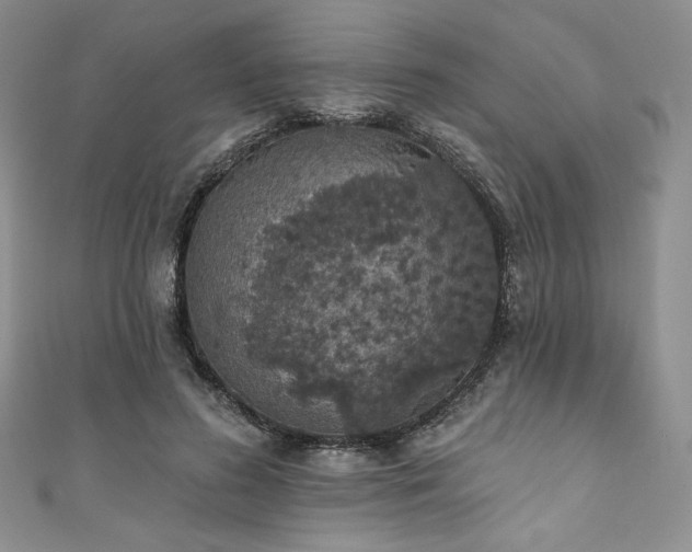 X0000111890596200907231558