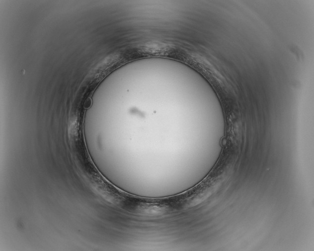 X0000111890597200907231558