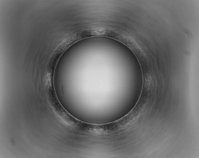 X0000111890598200907231558