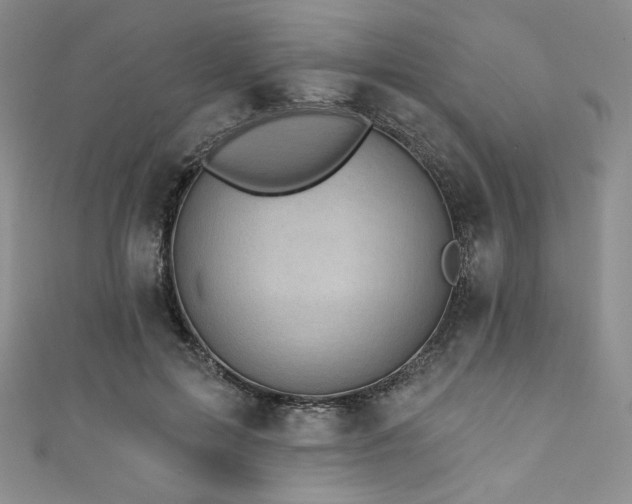 X0000111890599200907231558