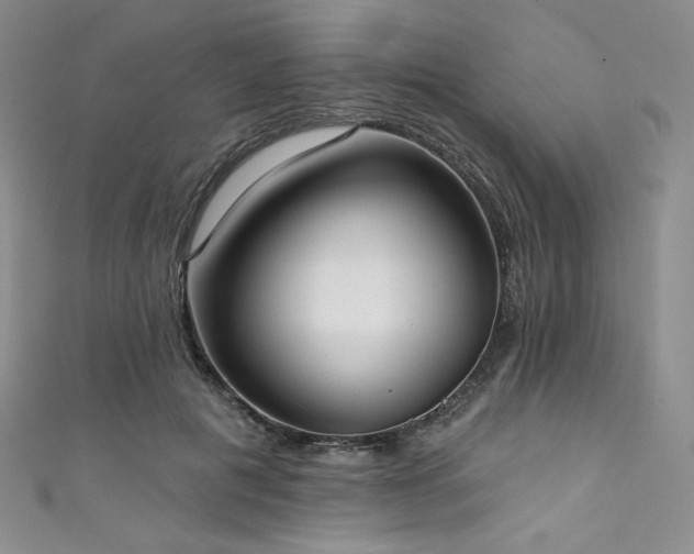 X0000111890601200907231558