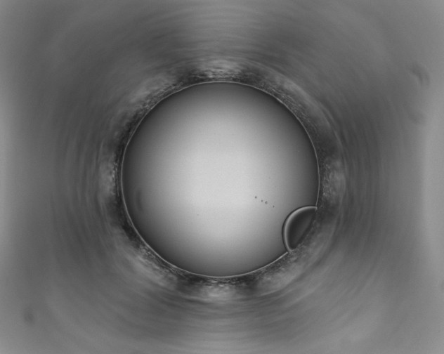 X0000111890604200907231558