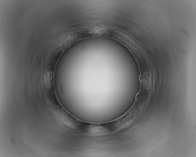 X0000111890605200907231558