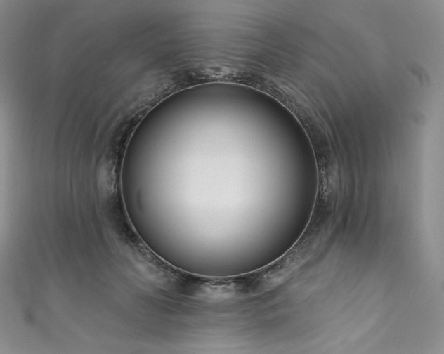 X0000111890606200907231558