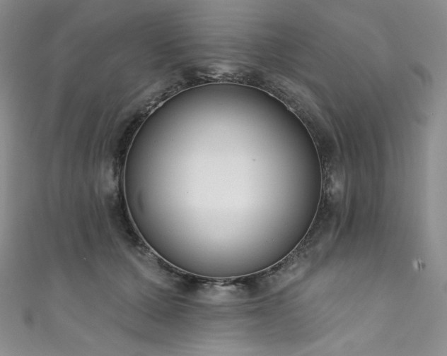 X0000111890607200907231558