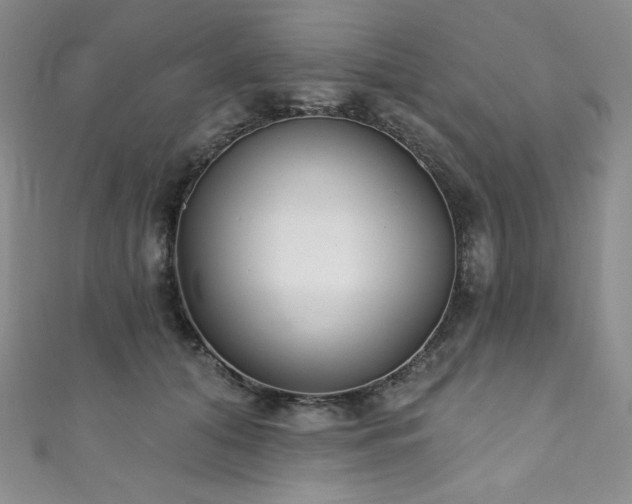 X0000111890608200907231558