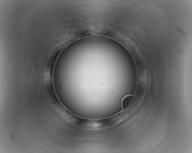 X0000111890610200907231558