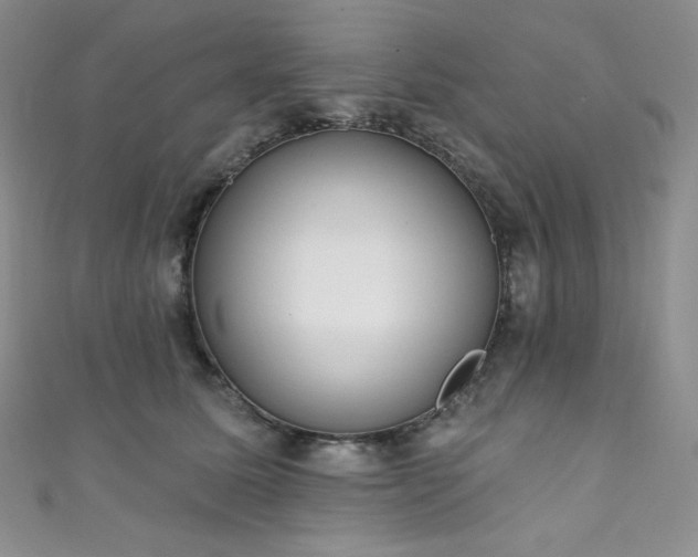 X0000111890611200907231558
