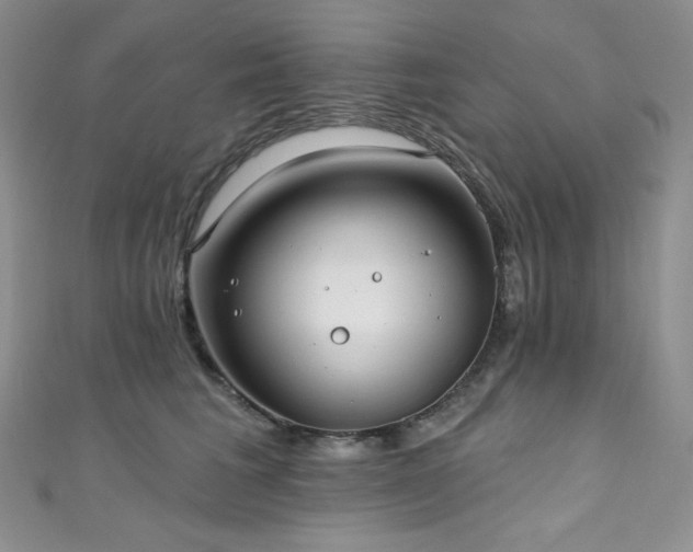 X0000111890613200907231557