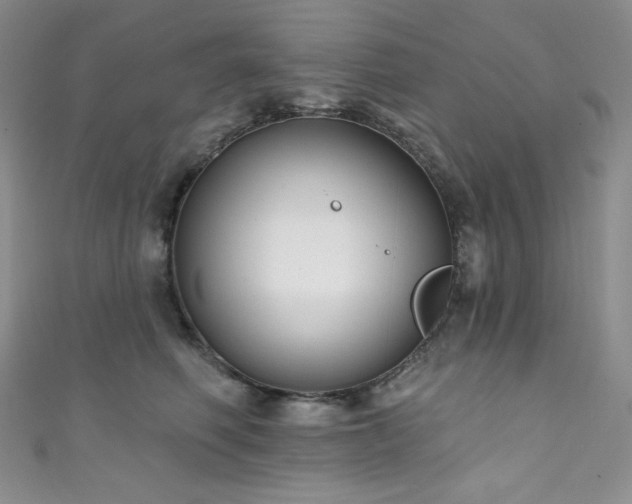 X0000111890614200907231557