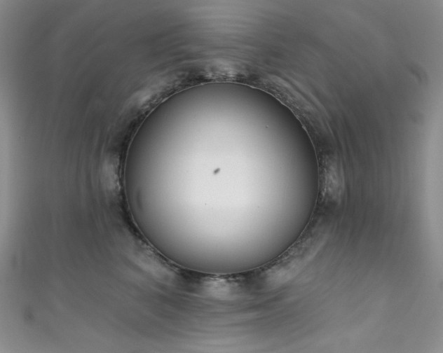 X0000111890616200907231557