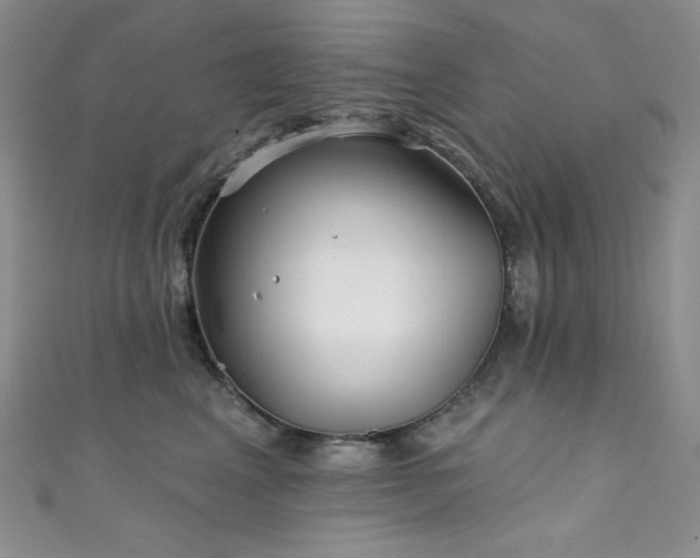 X0000111890617200907231557