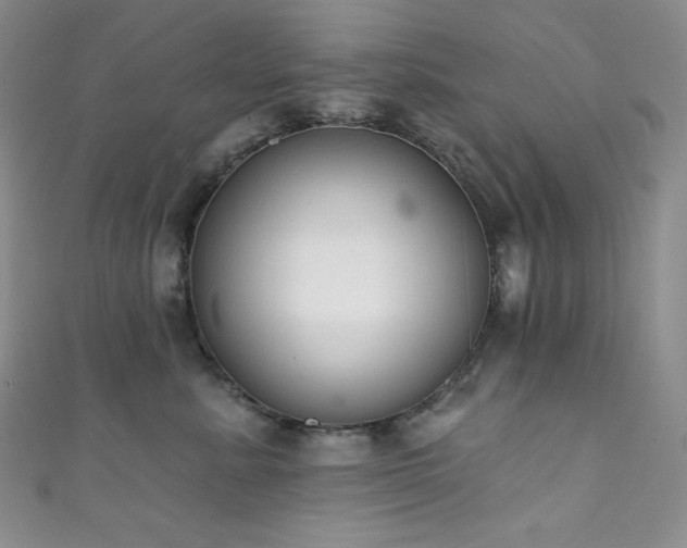 X0000111890619200907231557