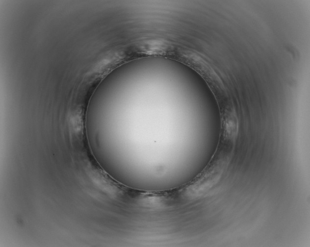 X0000111890620200907231557
