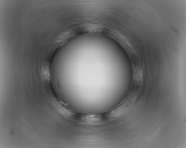 X0000111890622200907231557